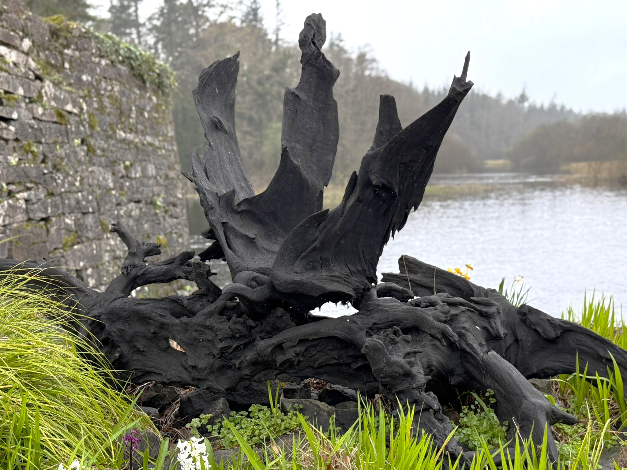 On the Wing — a bog oak carving beside the river in Cong
