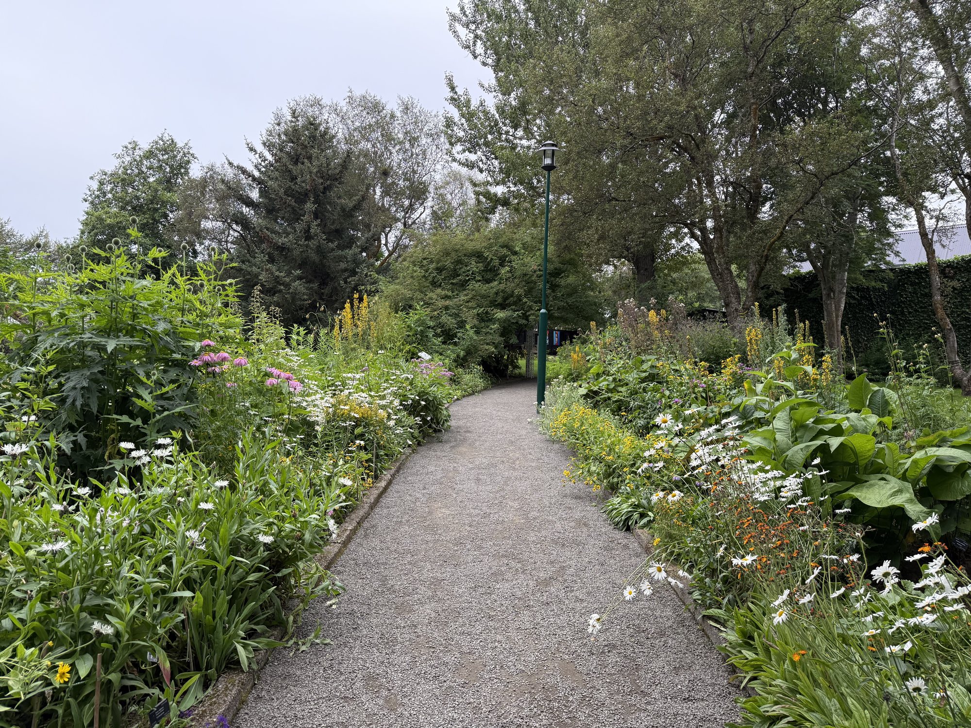 Akureyri Botanical Garden, plants from around the world