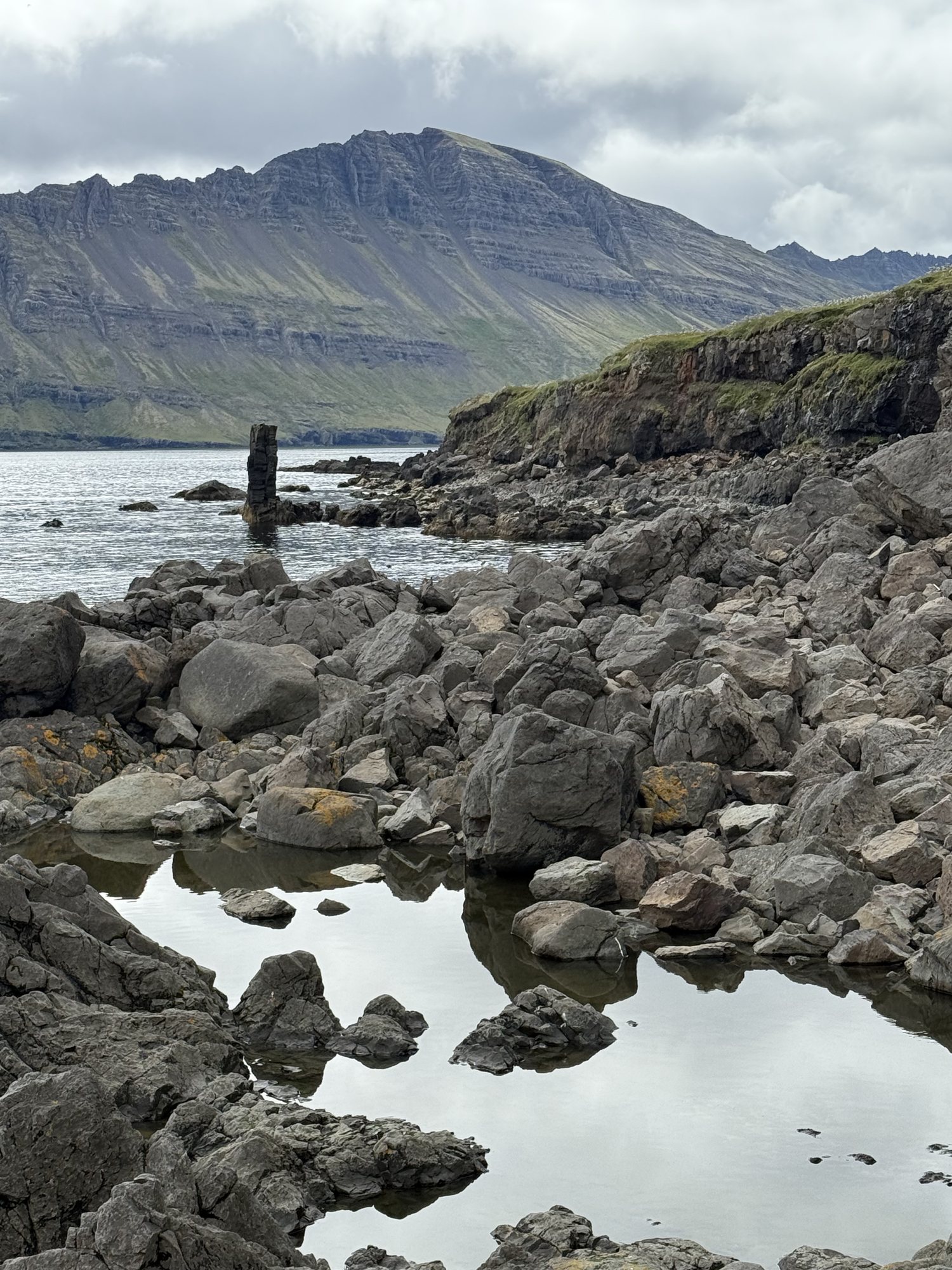 Country park in Neskaupstaður, walking through flowers and streams
