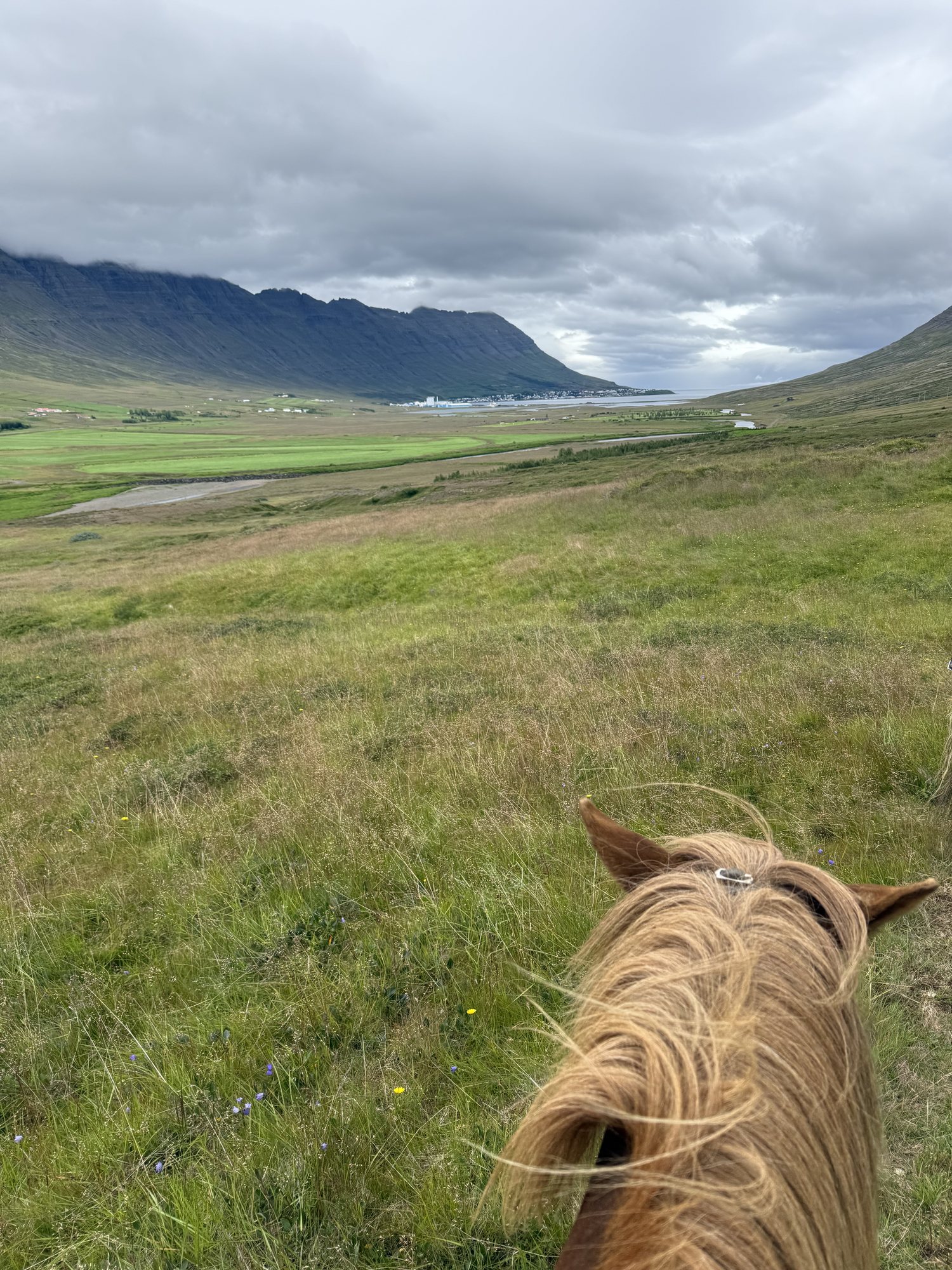 Horseback riding with a private guide at Skorrahestar