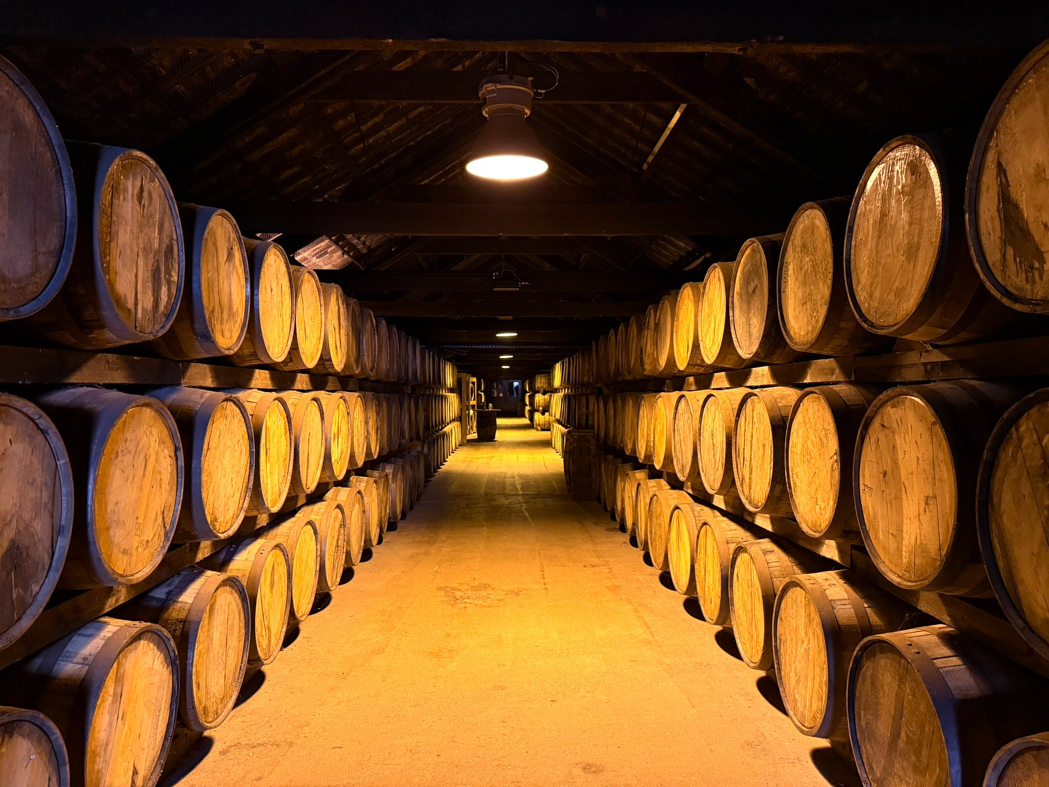 Whiskey barrels ageing at Midleton Distillery, Cork